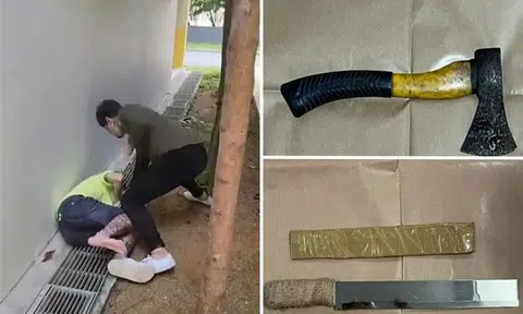 Man in viral assault video found with axe and machetes