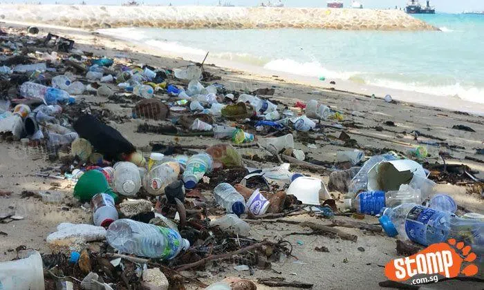 Stomper appalled by heaps of rubbish seen on beach at East Coast Park ...