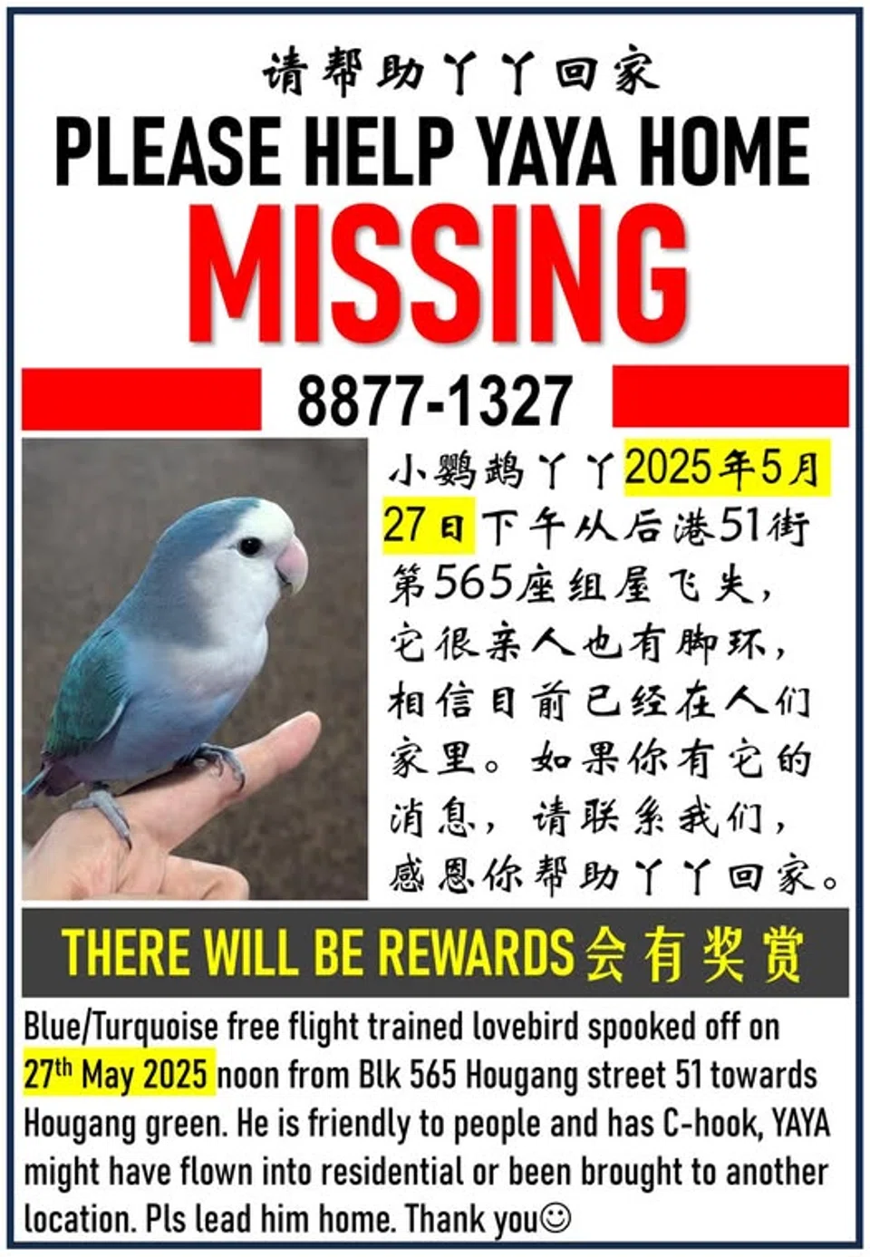 Missing lovebird