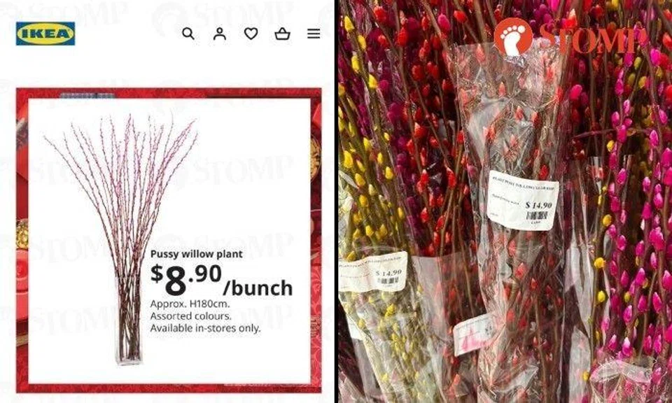 The Stomper shared a screenshot of the $8.90 pussy willow on the Ikea website and a photo of the pussy willow at Ikea Alexandra priced at $14.90.