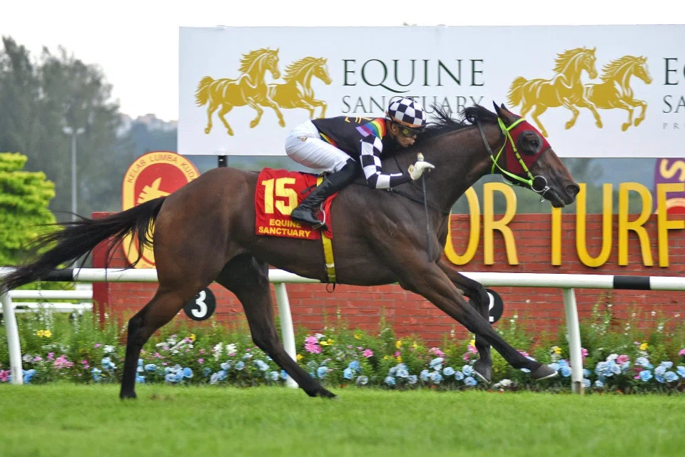 Noah Khan (Andre da Silva) en route to victory in the Group 1 Tunku Gold Cup (1,200m) at Sungai Besi on March 16. That smart win handed trainer Siva Kumar his first Group 1 success in Malaysia.