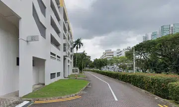 Man arrested after allegedly damaging NParks bird traps at Havelock Road, causing crows to escape