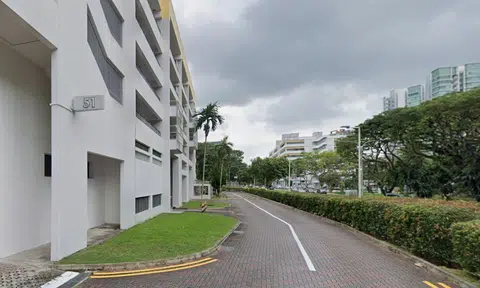Man arrested after allegedly damaging NParks bird traps at Havelock Road, causing crows to escape