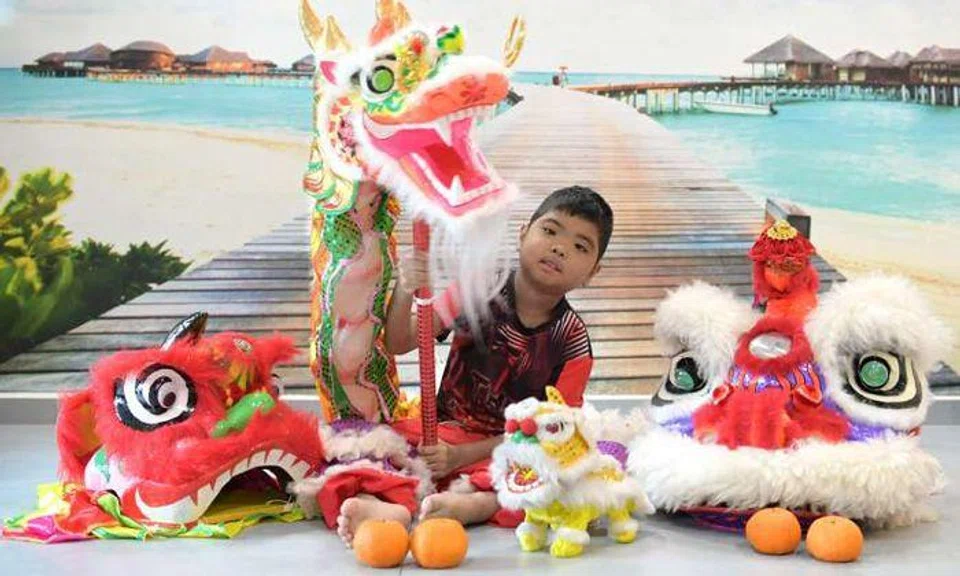 Photo: Ng Sor Luan, The Straits Times