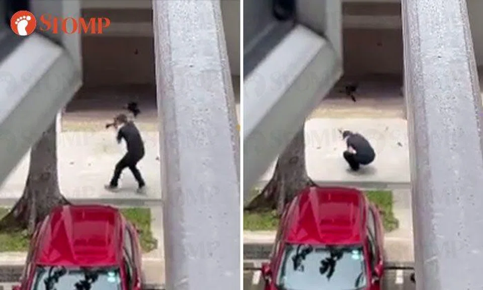 Crows attack man in Bishan: 'They are very fierce and aggressive'