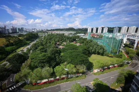Young forest in Bukit Batok to be cleared for housing; study proposes retaining some vegetation