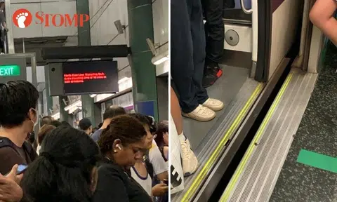 Morning NEL delay: 'Train seemed to stop very suddenly, made a bunch of people almost fall'