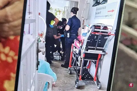 The stepfather and stepson got into an argument that escalated into a fight, prompting the police to respond.