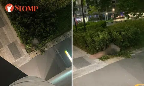 Simei resident hears 'loud impact', sees man's legs sticking out of bushes at foot of block