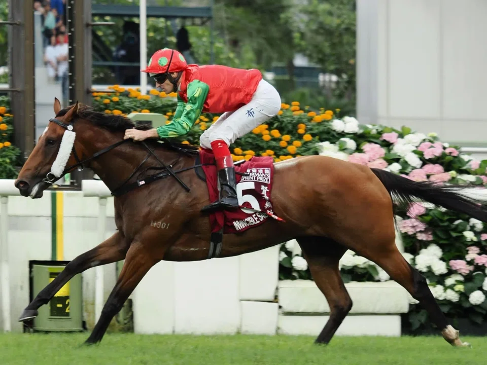 The David Hall-trained Invincible Sage has developed a close bond with top Australian jockey Hugh Bowman. The pair have combined for three of the gelding's four wins.


