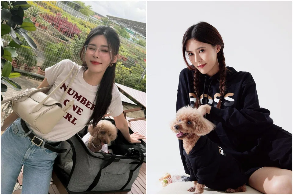 Carrie Wong says her toy poodle Gege is her soulmate.