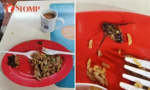 Stomper Jayden shared photos of the insect on his plate of half-eaten food.