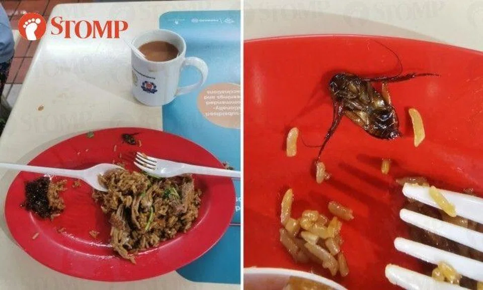 Stomper Jayden shared photos of the insect on his plate of half-eaten food.