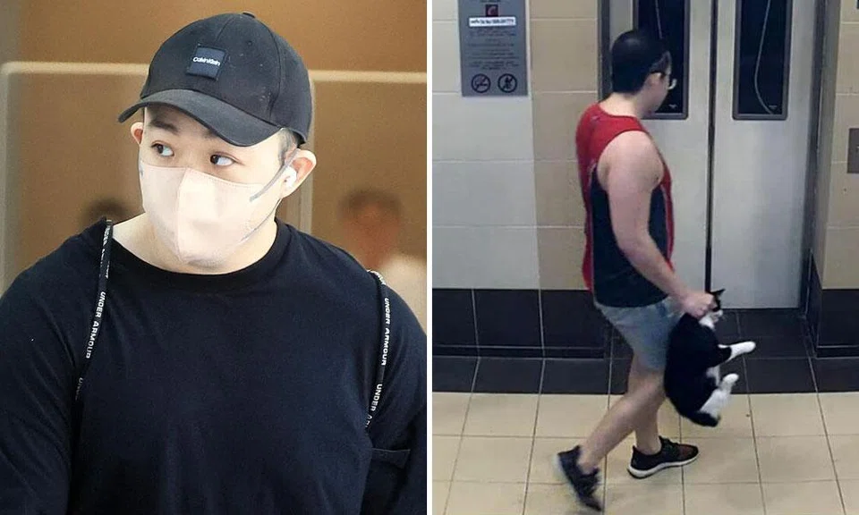 The increase in the sentence for Barrie Lin Pengli came after the prosecution appealed against the initial sentence that was imposed by a district judge in February.