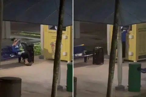'Just let them take': Netizens divided on video of man raiding recycling bin