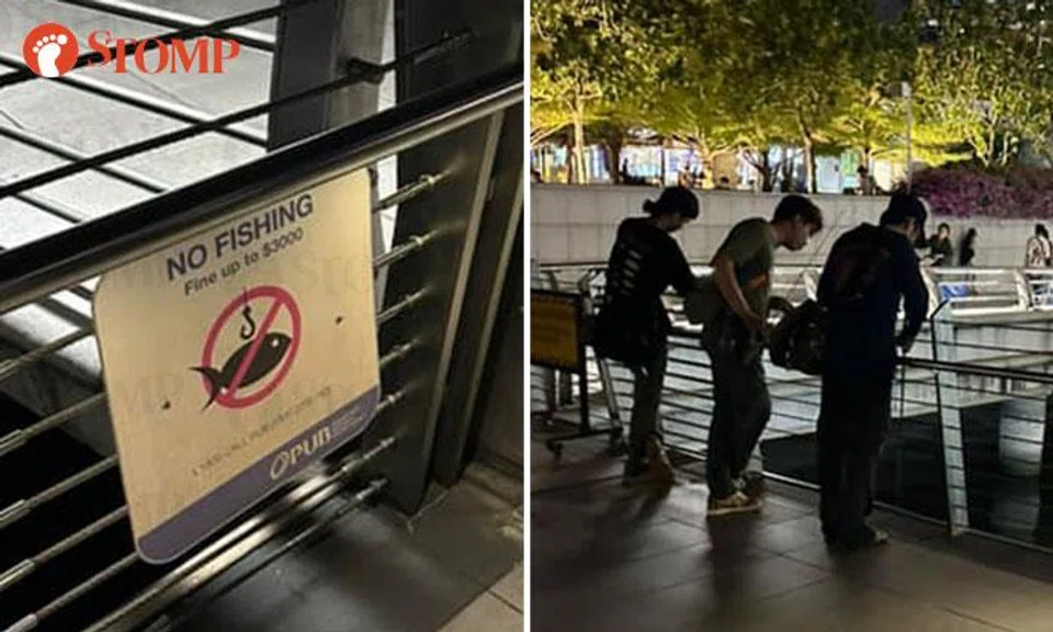 illegal fishing singapore fine