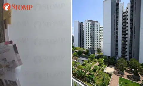 PHOTOS: STOMP, ST FILE