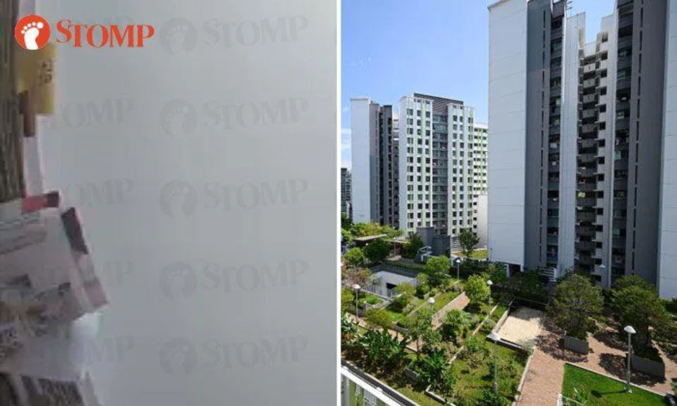 PHOTOS: STOMP, ST FILE