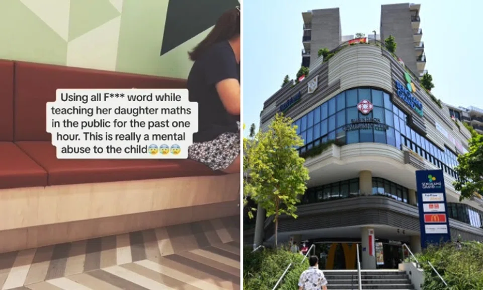 Mrs Lu, the netizen who shared the video on Aug 31, described the scenario unfolding before her eyes at Buangkok Community Club as a "mental and verbal abuse".