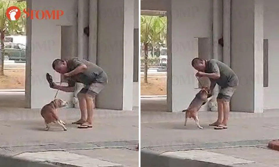 Man repeatedly slaps dog with slipper at Pasir Ris: There is no reason to hit a dog, says SPCA