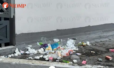 Woman says Circuit Road block infested with litterbugs, rats and ants: 'First World slum'