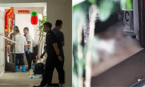 An elderly couple were found dead in a Punggol flat on the morning of Feb 27. 