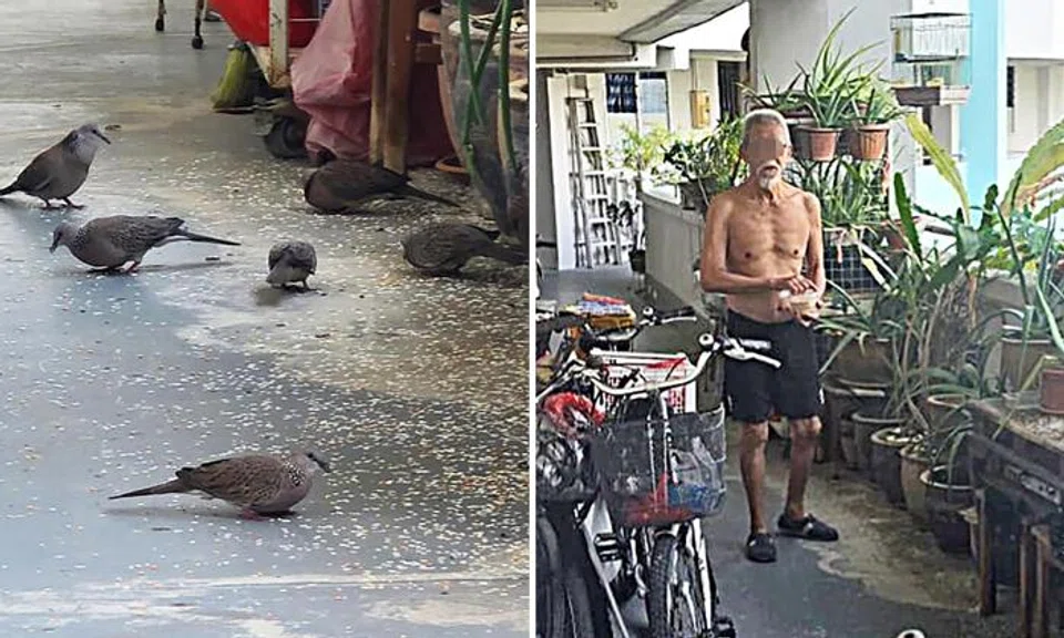 dispute with neighbour