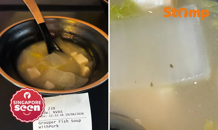 Insects found in Novena food stall soup