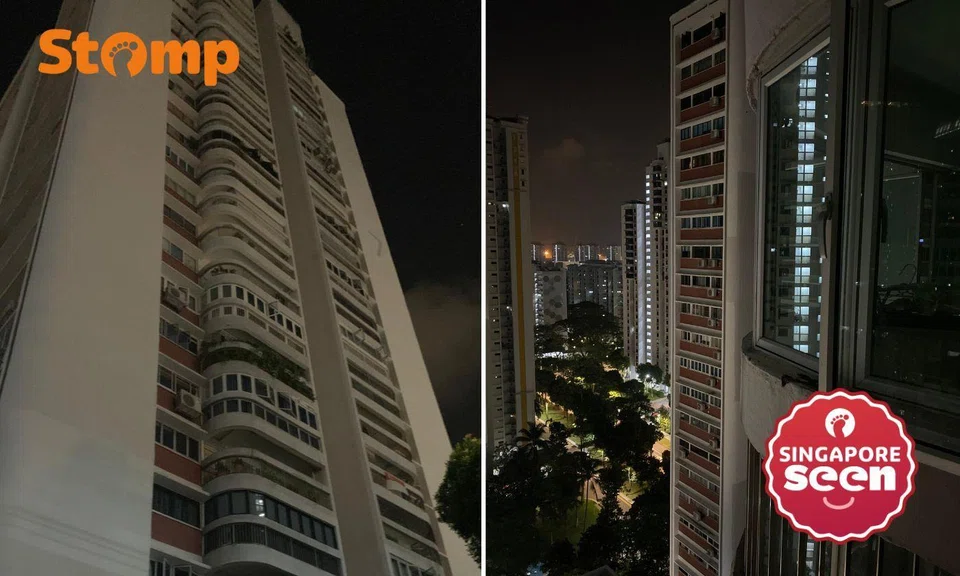 Residents climb up to 25 storeys after 3.5-hour power outage hits Kim Tian Place blocks