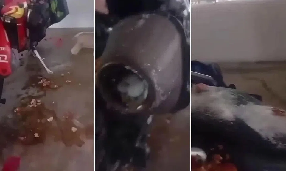 A video showing the motorcycle covered with what appears to be raw eggs first surfaced on June 8.
