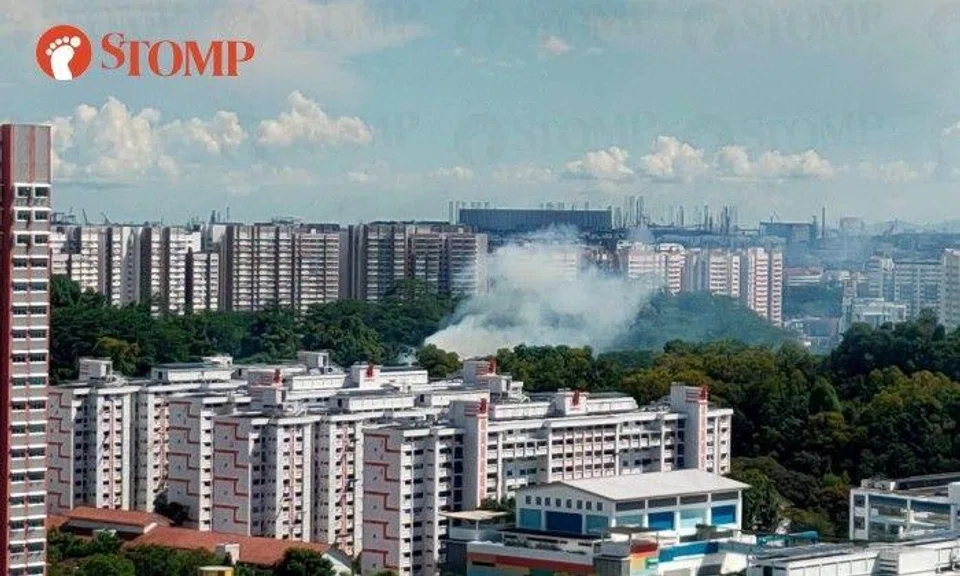 Vegetation fire at Bukit Batok 'the size of 1 football field' put out by SCDF