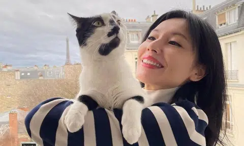 Sharon Au quits job after her Paris home is burgled, re-evaluates her life there