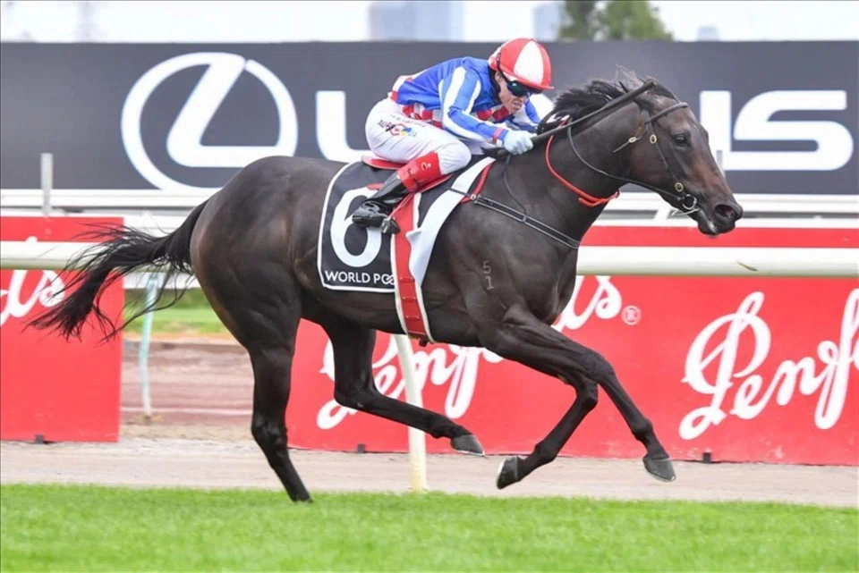Craig Williams guiding New Zealand filly Alabama Lass to an impressive all-the-way victory in the Listed HKJC World Pool Sprint Classic (1,100m) up the Flemington straight on March 29.
