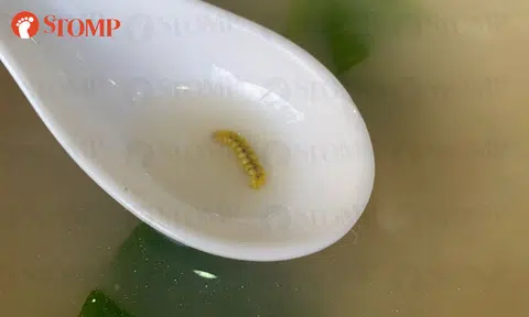 Woman finds extra grub in 21-month-old son's porridge