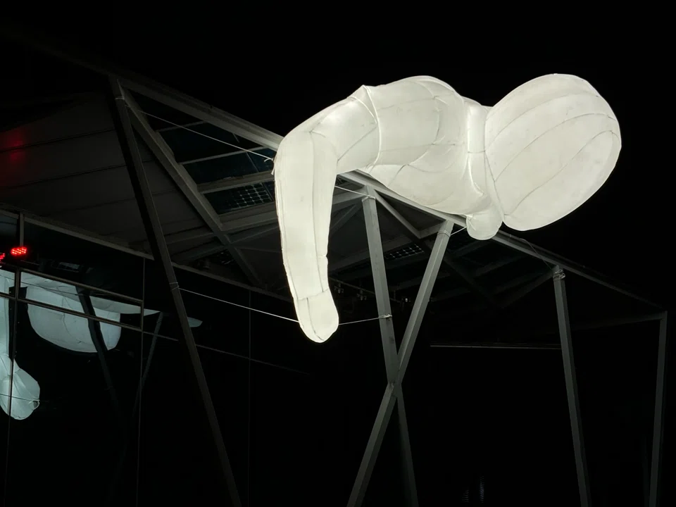 Fantastic Planet - Over, Marina Bay