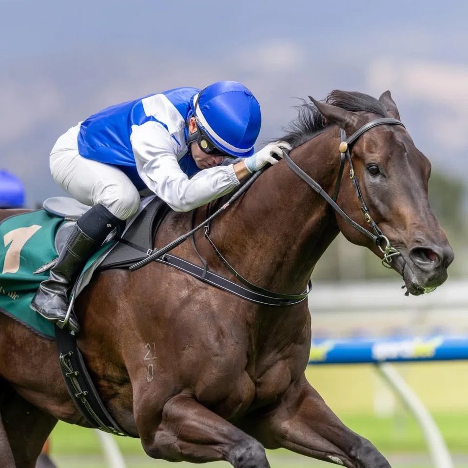 Manoel Nunes steering Bakeel home in the Benchmark 68 Handicap (1,200m) at Morphettville on Feb 22 to give Singaporean owner Mansoor Gandhi his first win from his first runner in Australia.