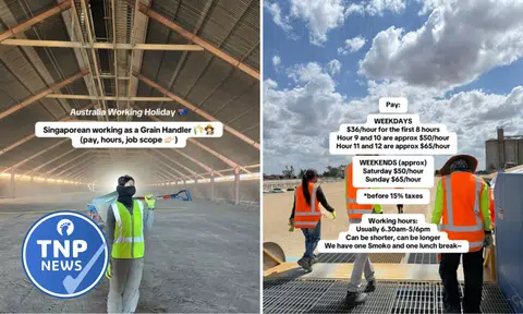 S'porean recalls snake encounters, 12-hour shifts while on working holiday in Australia: 'Not for the faint of heart'