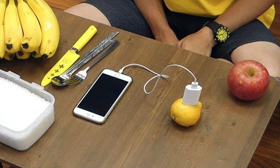 Can you really charge your phones using fruits?