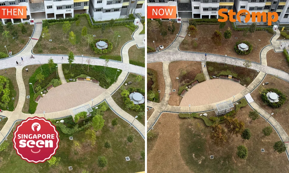 Tampines GreenCourt estate conditions
