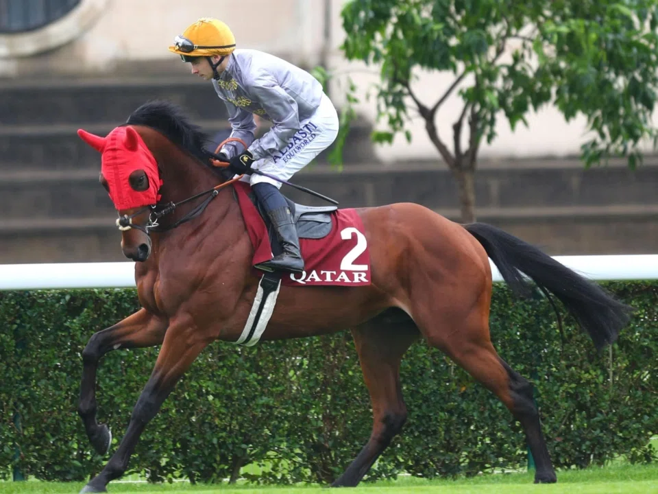 French jockey Alexis Pouchin cantering Misunderstood to the starting gates before the running of the Group 1 Prix Jean-Luc Lagardere (1,400m) at ParisLongchamp on Arc day on Oct 6. They ran third. The pair will be reunited in the Group 1 Emirates Poule d'Essai des Poulains (1,600m) on May 11.

