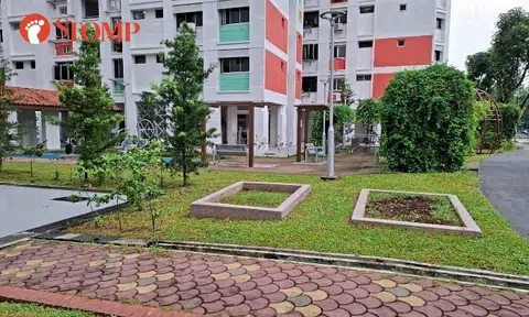 Another 'graveyard' garden in Jurong West?
