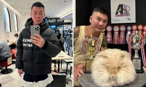 Addy Lee gives up Singapore PR, cashes out CPF to 'enjoy life' with rabbits in Bangkok