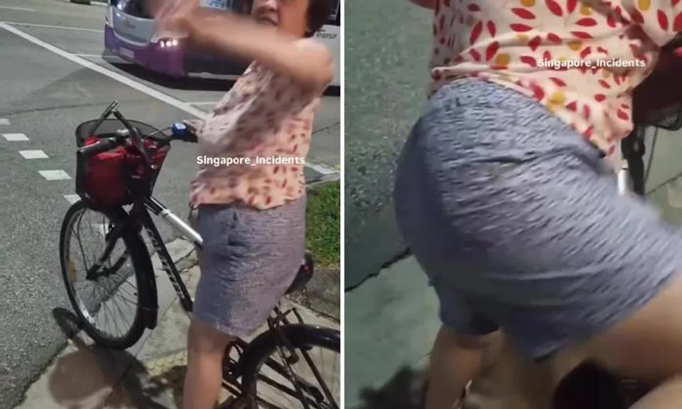 Aunty on bicycle argues with pedestrian