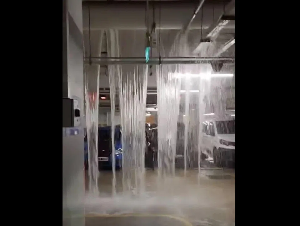 Water coming down in sheets at the underground carpark of 409B Northshore Drive.