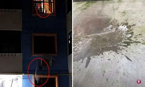 PHOTOS: FACEBOOK, SHIN MIN DAILY NEWS