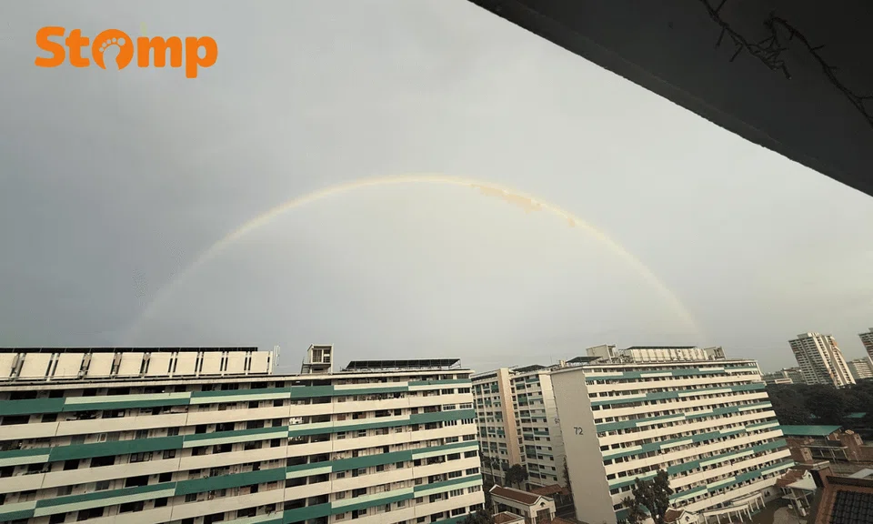 rainbow ms oz