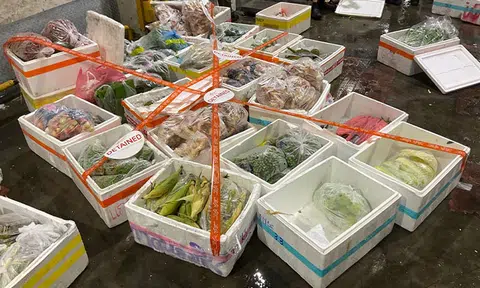 1.4 tonnes of illegally imported food products from Thailand seized by SFA