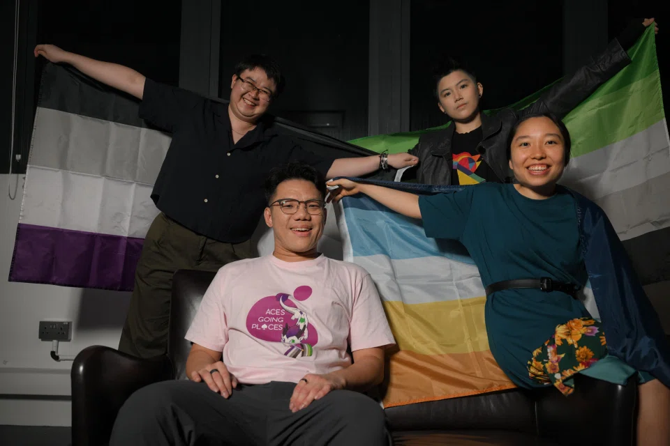 Members of Aces Going Places say society often misunderstands what it means to be asexual or aromantic.