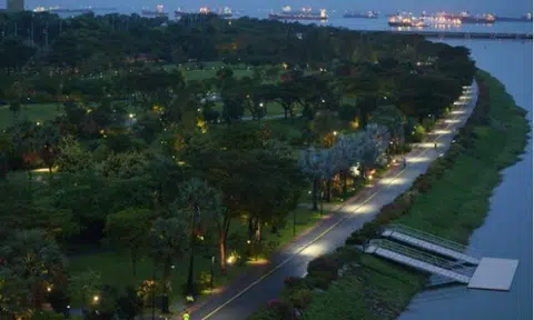 No further sightings of suspected monitor lizard, water activities at Marina Reservoir can resume: PUB