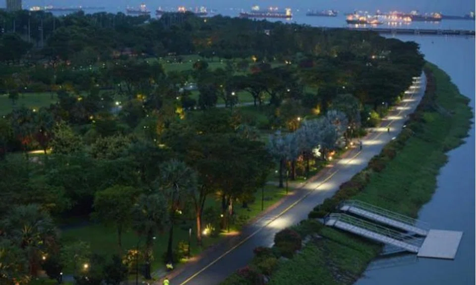 No further sightings of suspected monitor lizard, water activities at Marina Reservoir can resume: PUB
